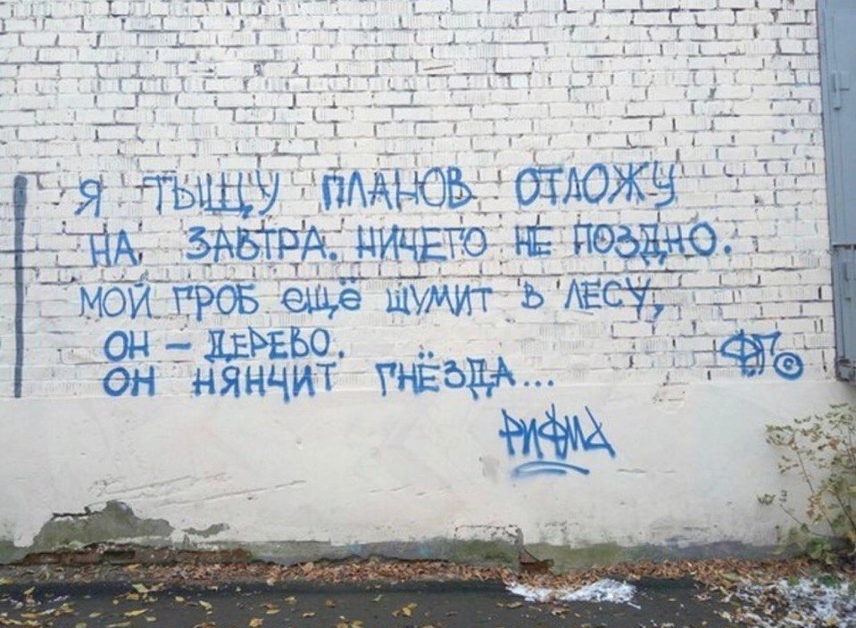 381214924_.jpg.7fe6d9115d15e6eb105ca4cd5236b38a.jpg