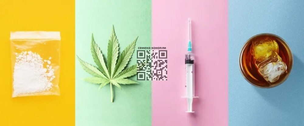 cannabis-against-drugs-alcohol.jpg