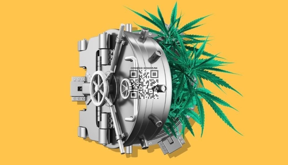 cannabis-banking-law.jpg