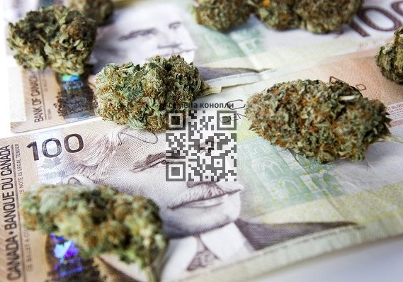 cannabis-canadian-dollars.jpg