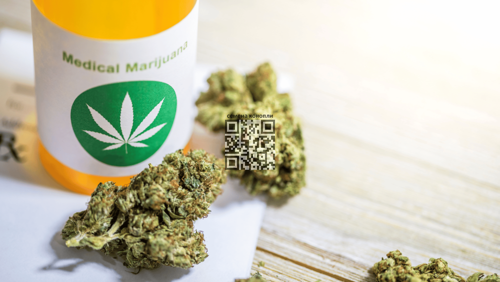 cannabis-medical.png