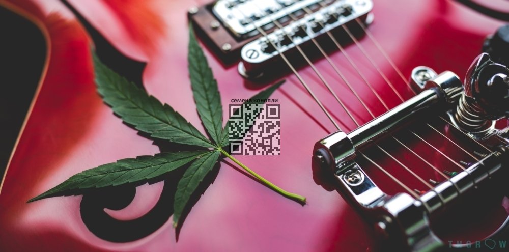 cannabis-music.jpg