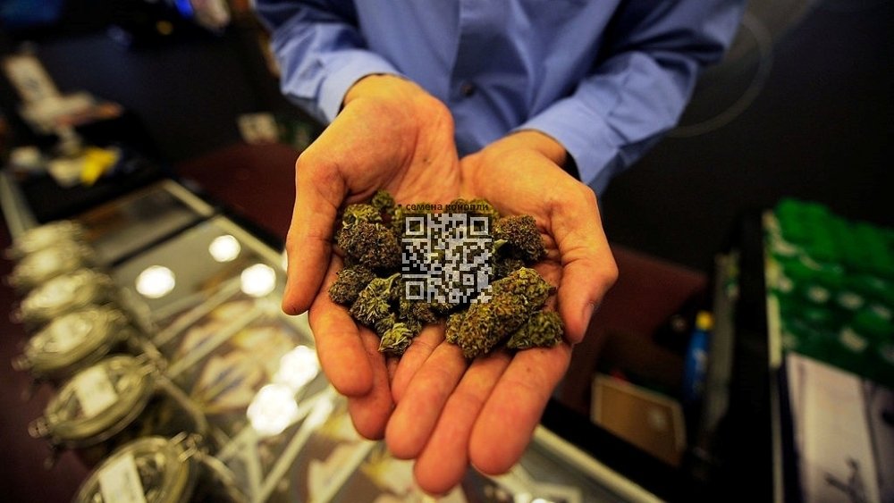 cannabis-sale-dispensary.jpeg