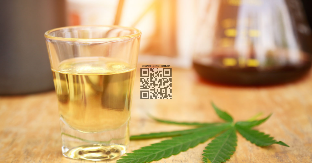 cannabis-vs-alcohol.png