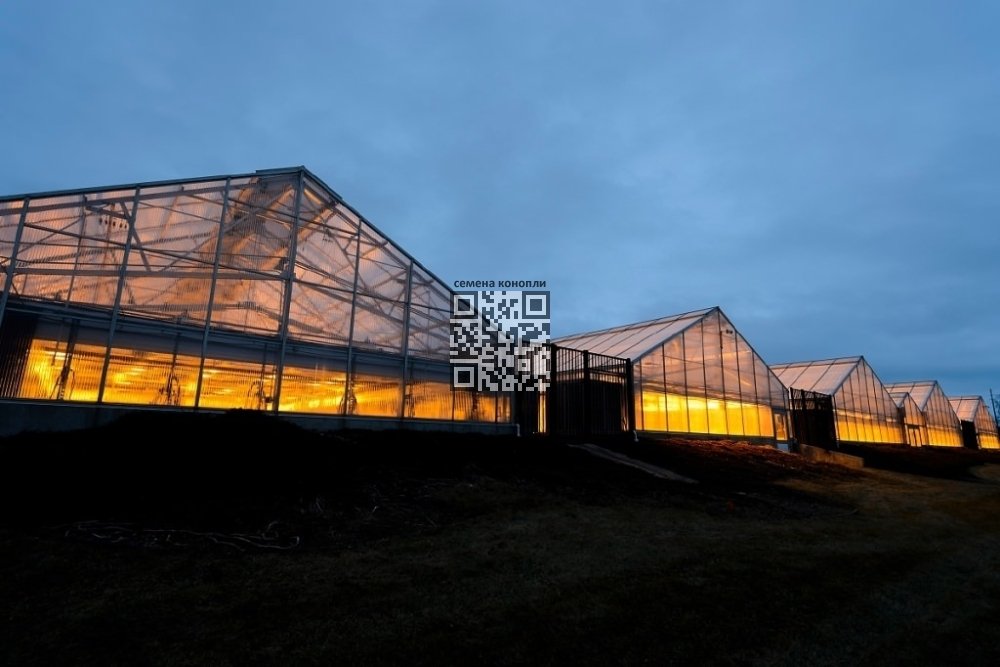 crop-innovation-center.jpg