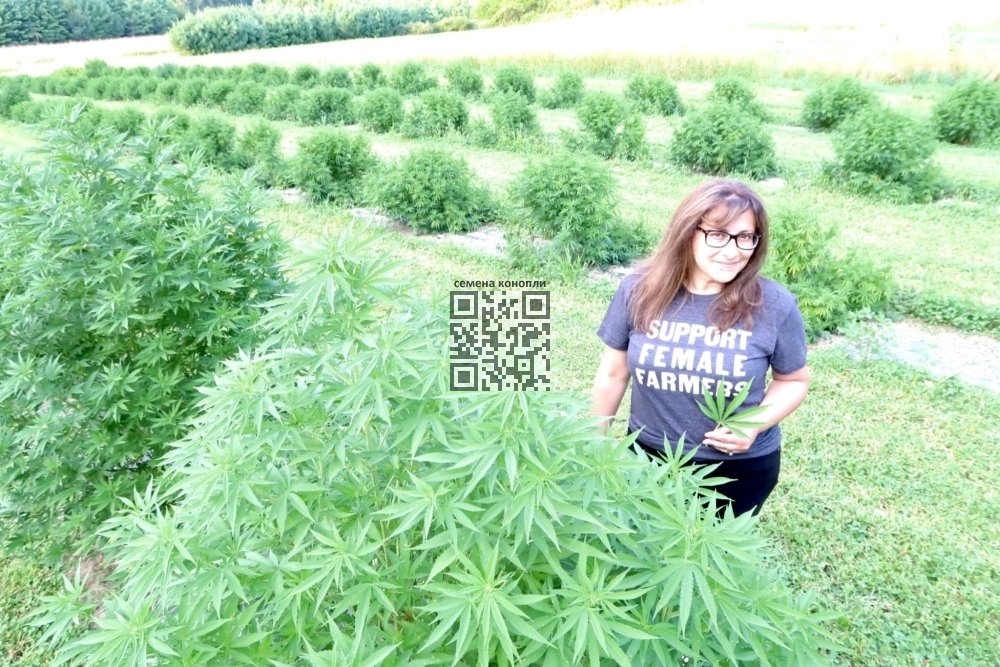 hemp-grow-us.jpg
