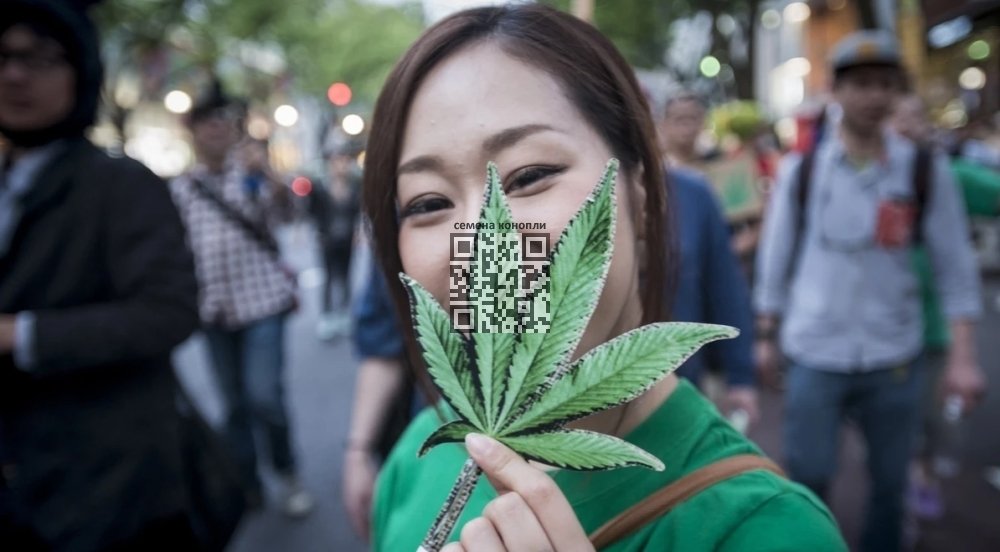japanese-cannabis.jpg