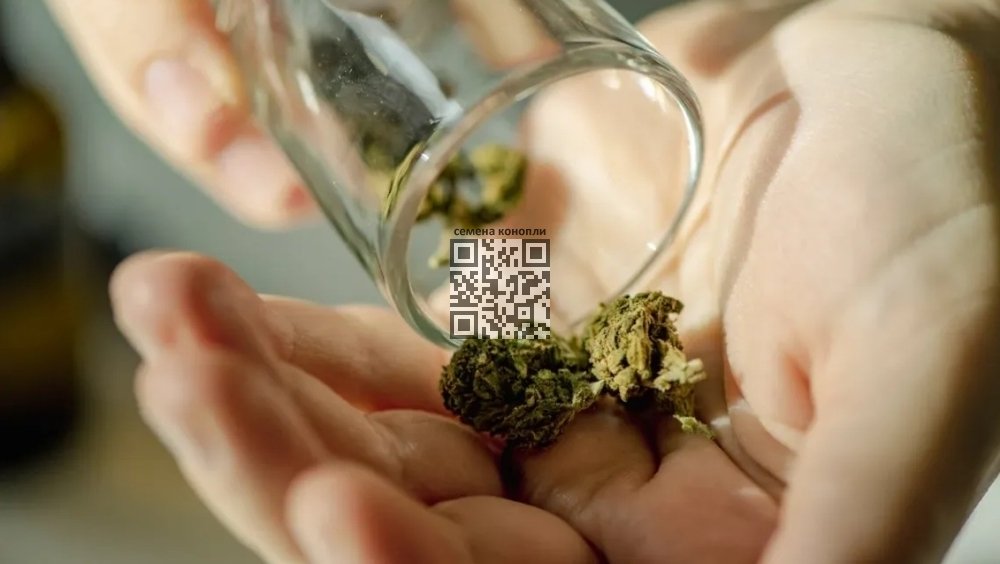 marijuana.jpg