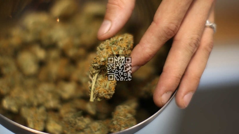 marijuana.jpg