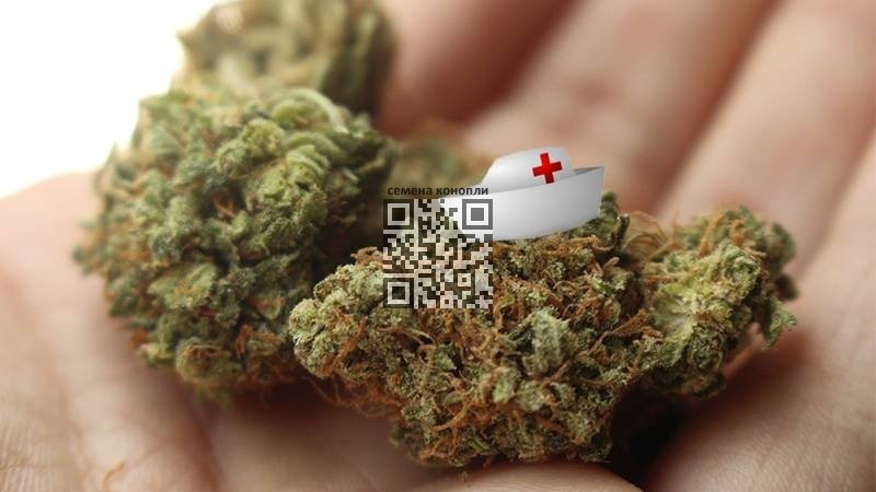 medical-cannabis.jpg