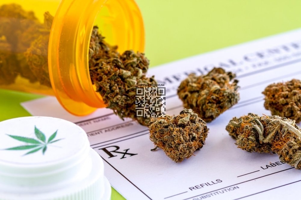medical-cannabis.jpg