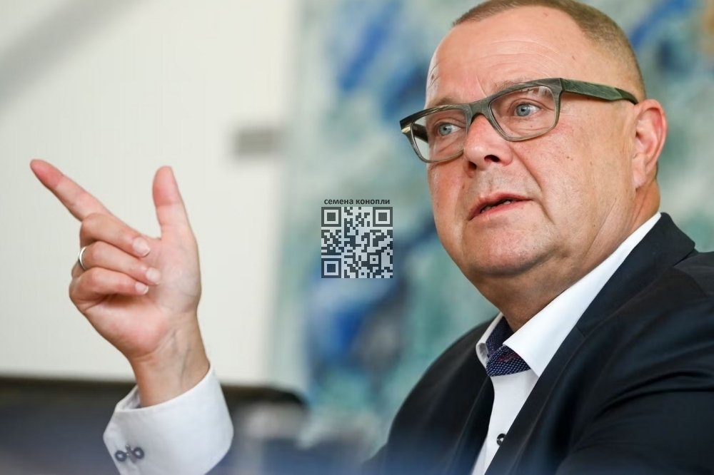 michael-stubgen.jpg