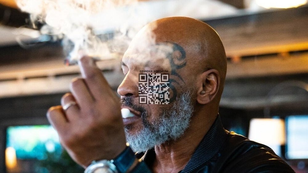mike-tyson-cannabis.jpg