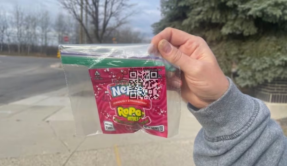 nerds-given-to-children.jpg