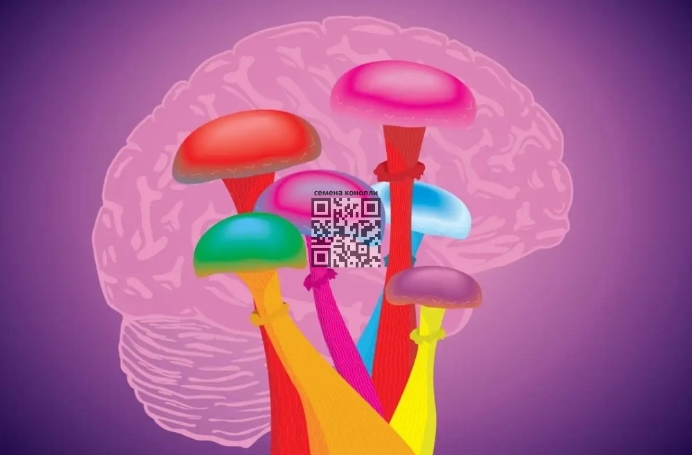 psilocybin-mushrooms-brain.jpg