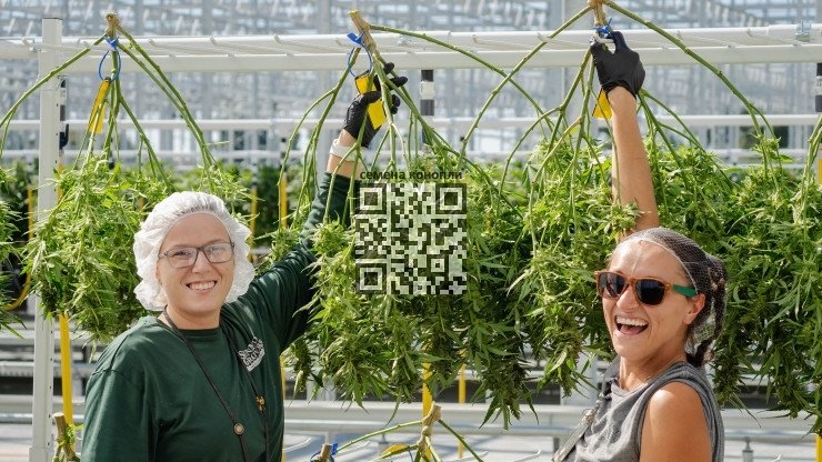 sunmed-growers.jpg