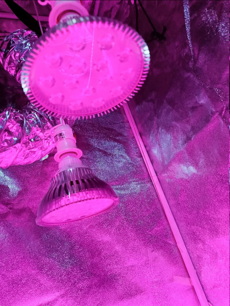 .thumb.png.2abdd8258a99b289f1f14088b7d41be8.png