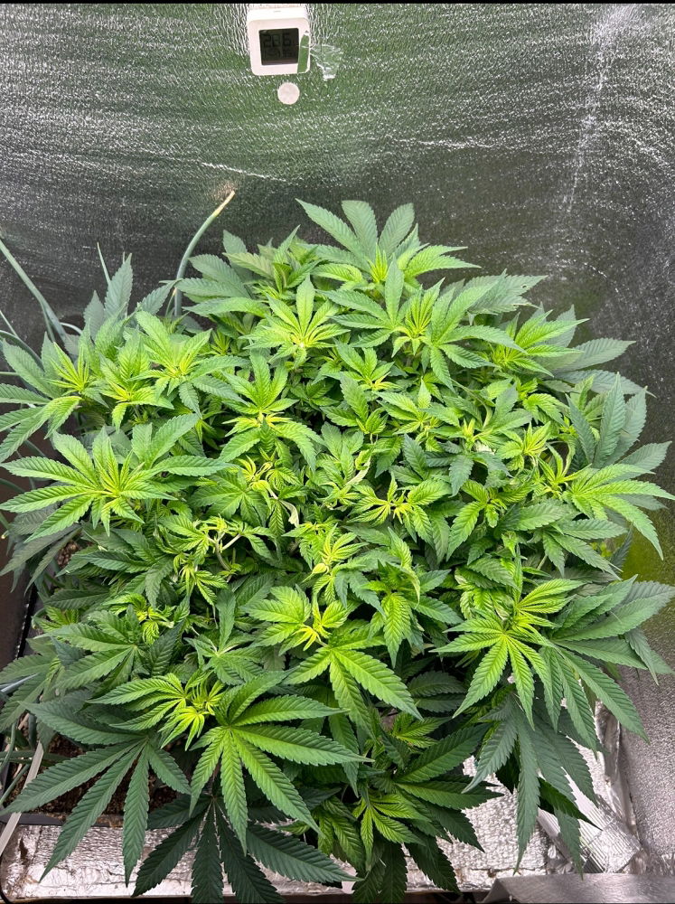 IMG_E5018.JPG