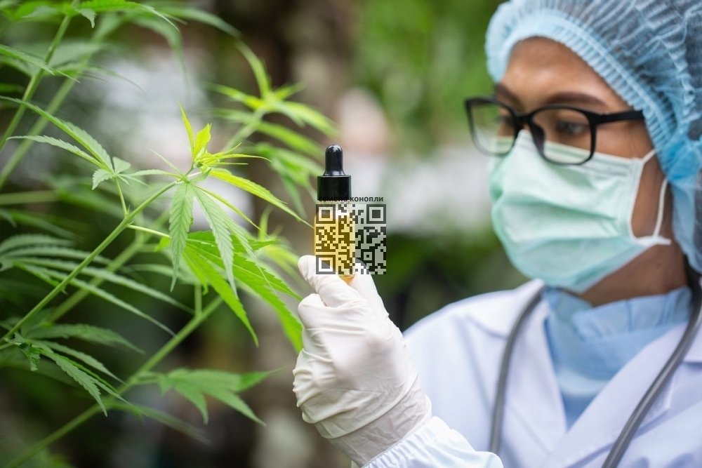 cannabis-doctor.jpg