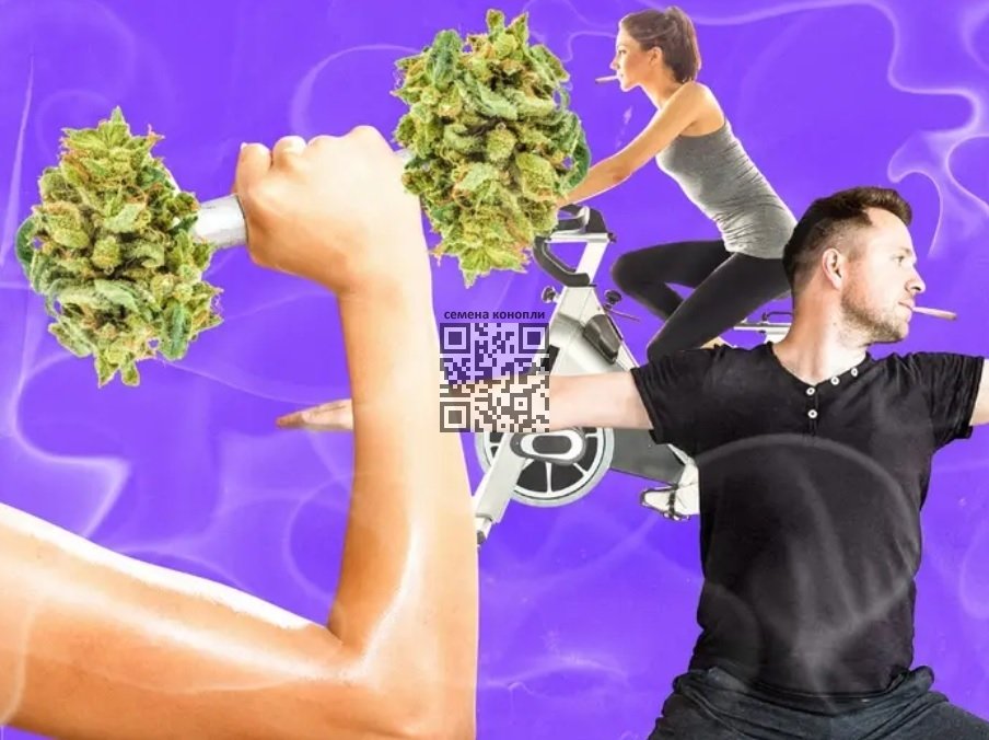 cannabis-exercise.jpg