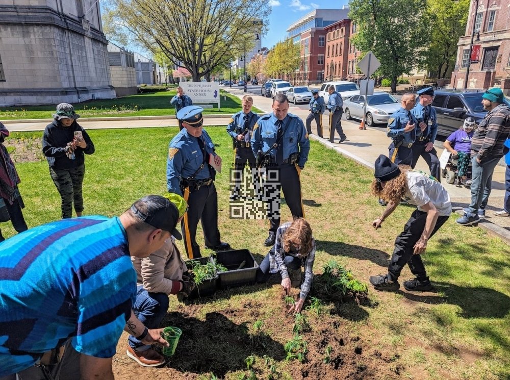 cannabis-planted-new-jersey-statehouse.jpg