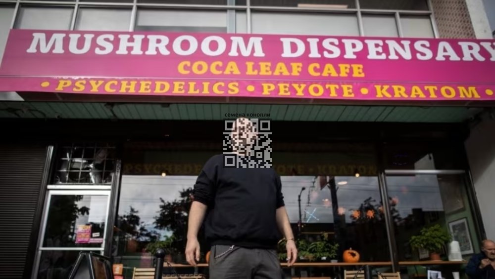 dana-larsen-mushroom-dispensary.jpg