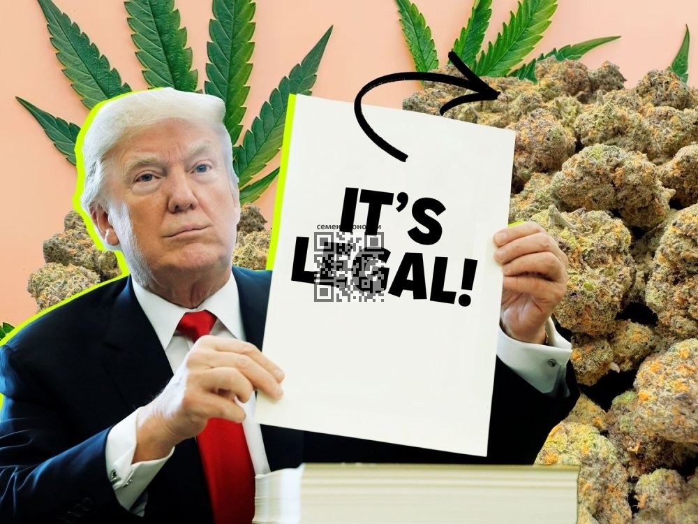 donald-trump.jpg