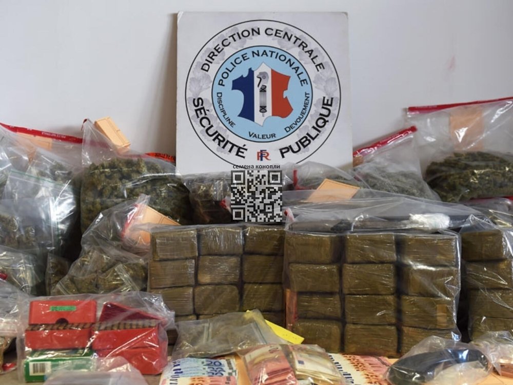 hash-seized-france-border.jpg