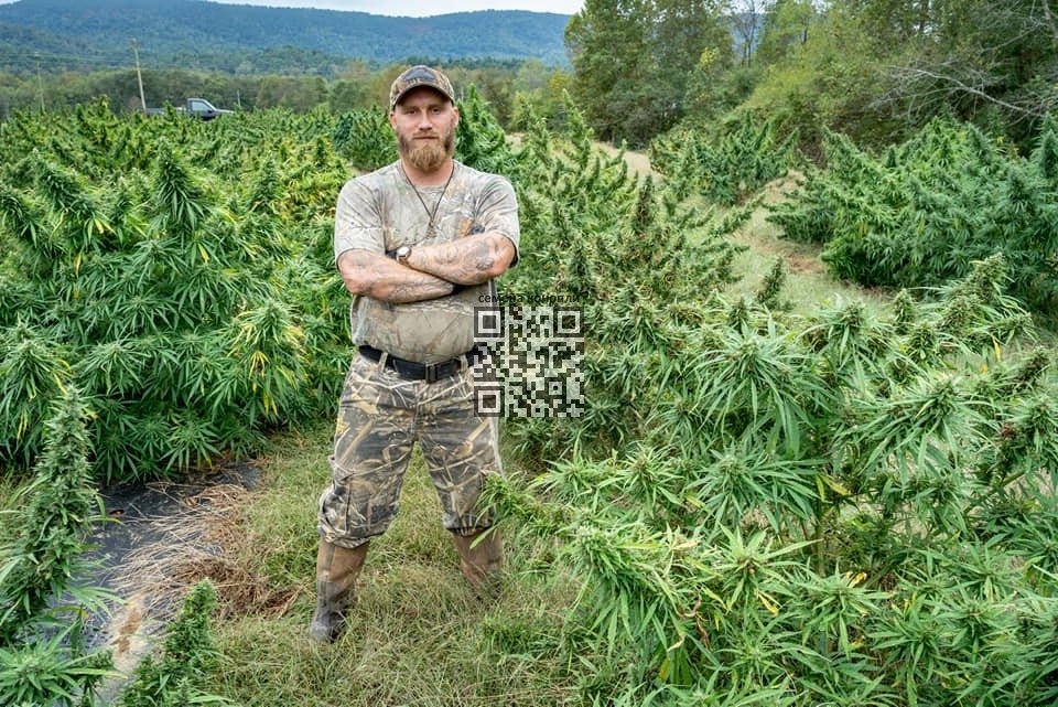 hemp-grow-us.jpg