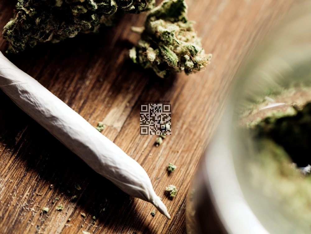 marijuana.jpg