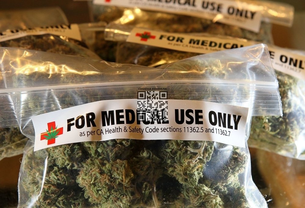 medical-cannabis.jpg
