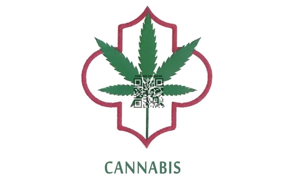morocco-cannabis-logo.jpg