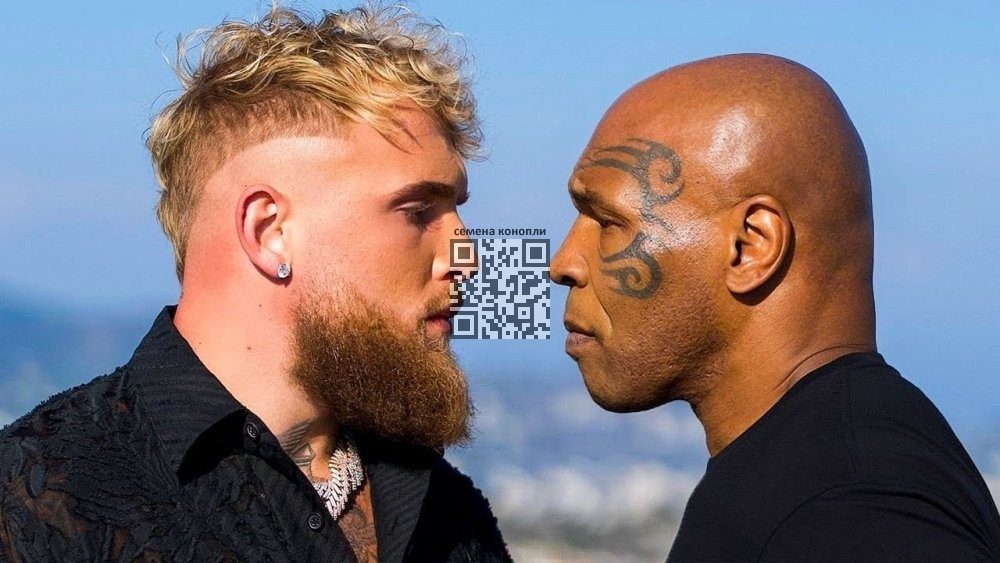 tyson-vs-paul.jpg
