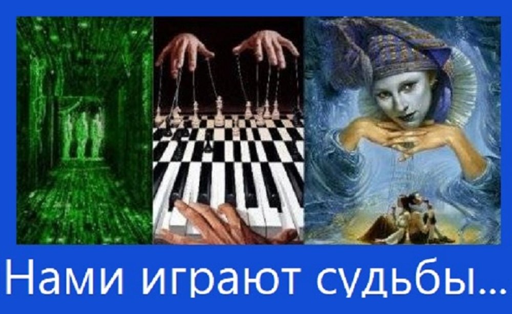 2.thumb.jpg.4fb98879a8be6e483fb047080ffe5668.jpg