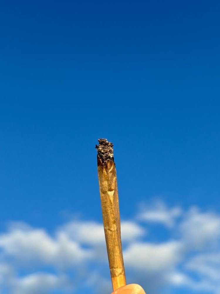 3.thumb.jpg.a1848de64a0522b1999f408c1ae650a3.jpg