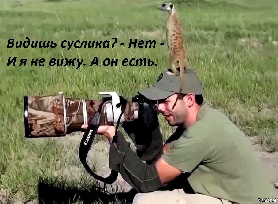 B4RufllFJiQ.jpg.153297e69cfc7e34a3b987a57dbf9340.jpg