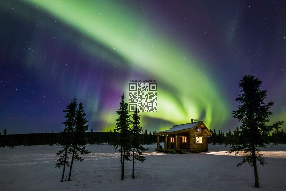 alaska-northern-lights.jpg