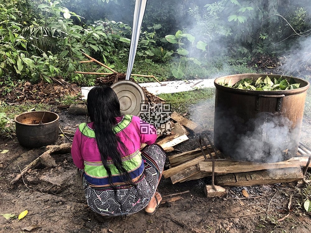 ayahuasca-cooked.jpg