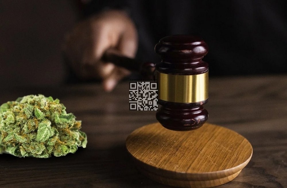 cannabis-decision.jpg