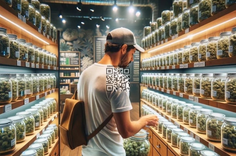 cannabis-dispensary-us.jpg