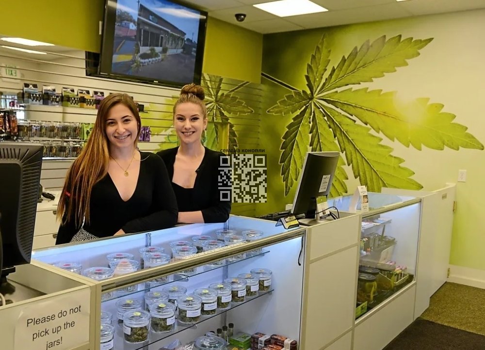cannabis-dispensary-us.jpg