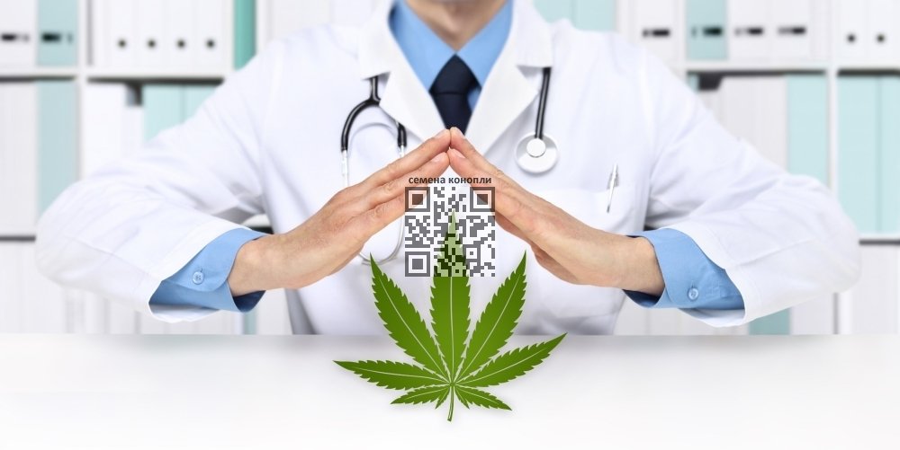 cannabis-doctor.jpeg