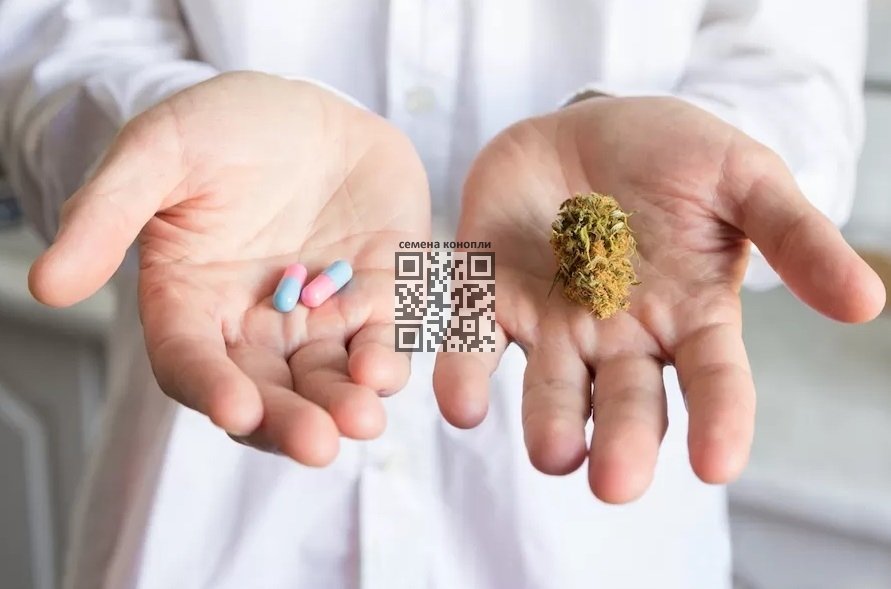 cannabis-pills.jpg