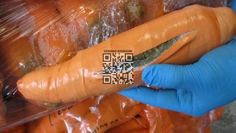 cannabis-seized-mexican-border.jpg