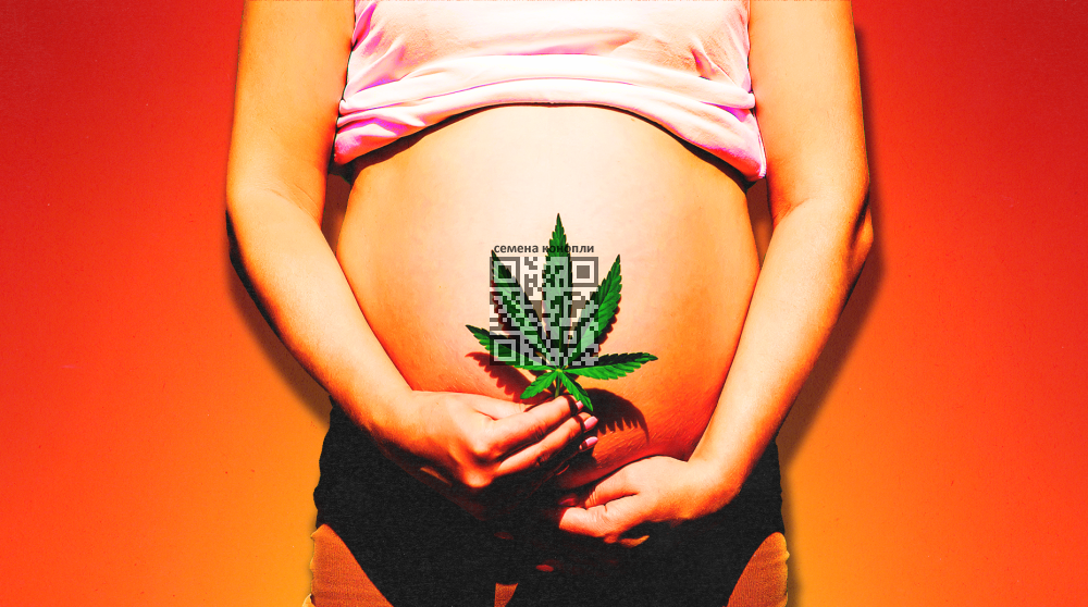 cannabis-woman-pregnant.png