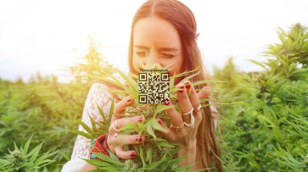 cannabis-woman.jpg