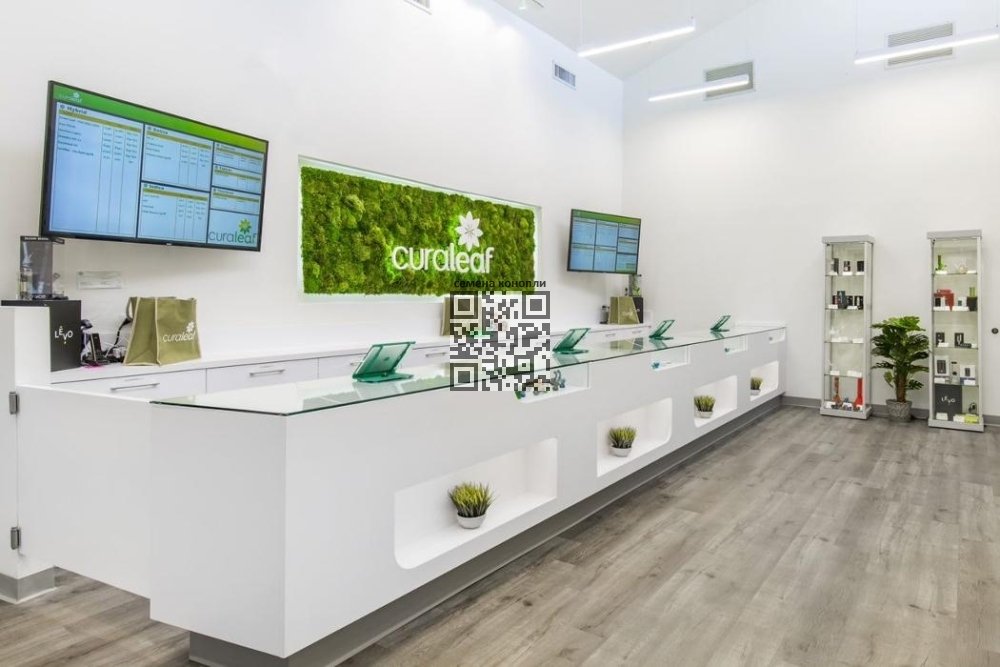 curaleaf-dispensary.jpg