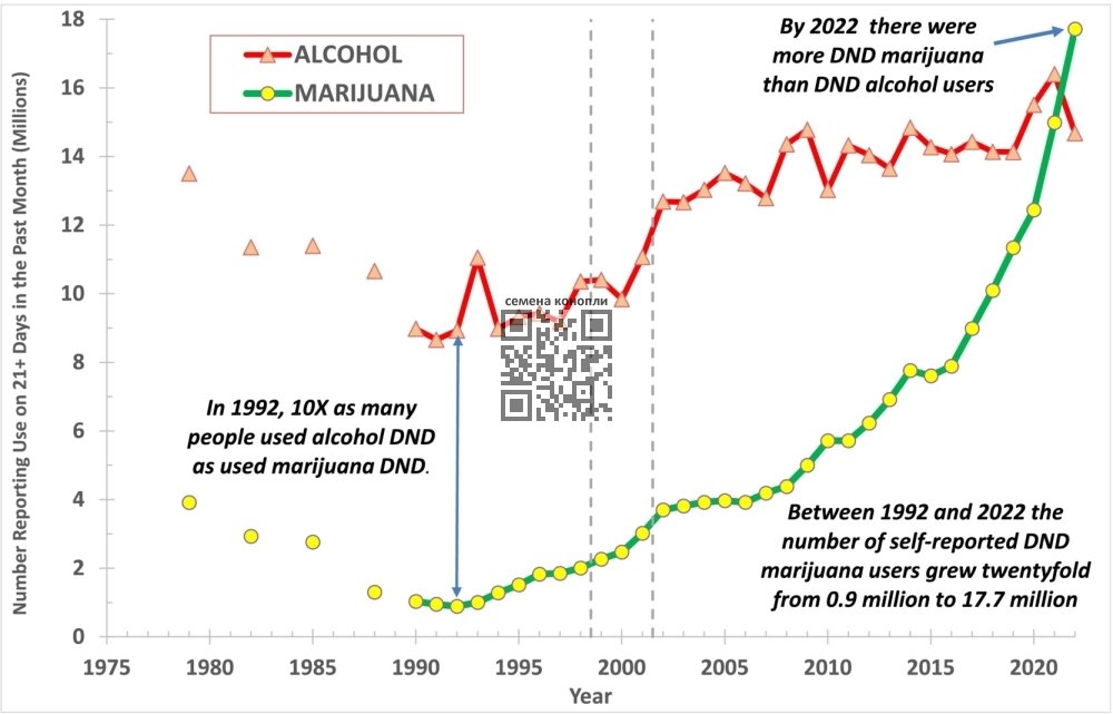 every-day-cannabis-alcohol-users-us-change.jpg