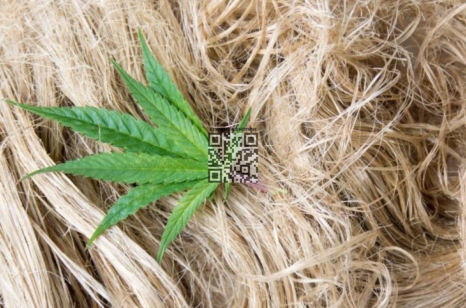 hemp-fiber.jpg