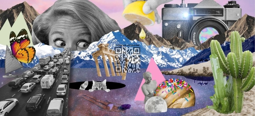 psychedelic-trip.jpg